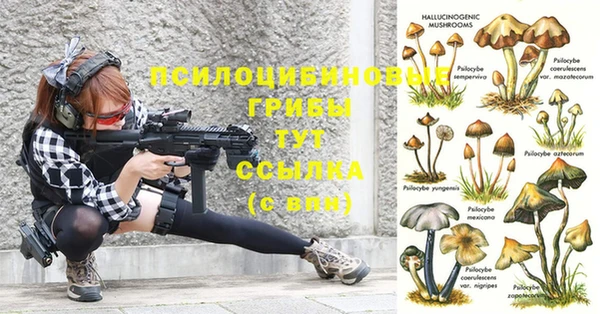 метадон Белоозёрский
