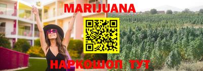 прущие крисы Аргун